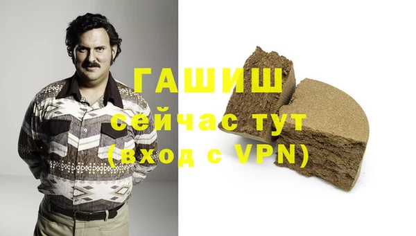 прущие грибы Абаза