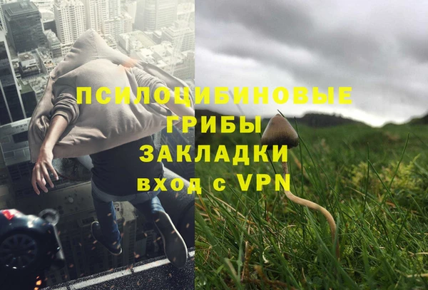 мдпв Алзамай