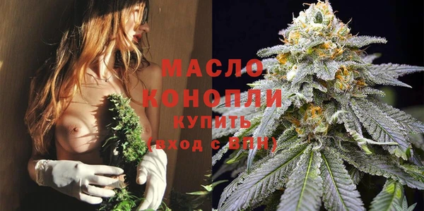 прущие грибы Абаза