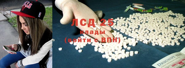 прущие грибы Абаза