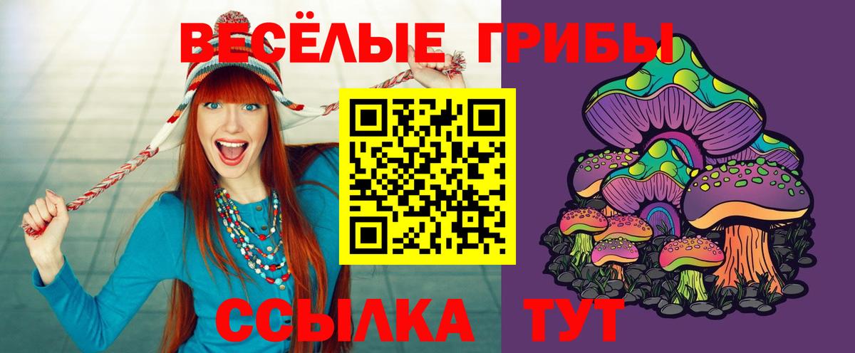 Усть-Лабинск  Псилоцибиновые грибы мухоморы  Вход с VPN 
